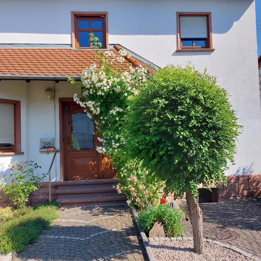 Wolfi Apartment Sankt Wendel Bagian luar foto